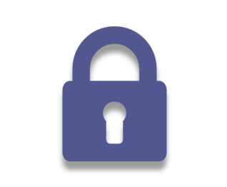 security icon