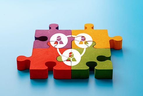 business-hr-icoon-puzzel-veenman